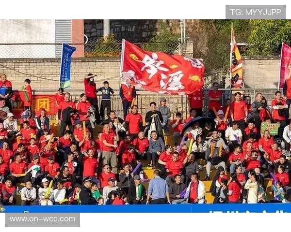 金华足球赛球迷助威，主场气氛热烈